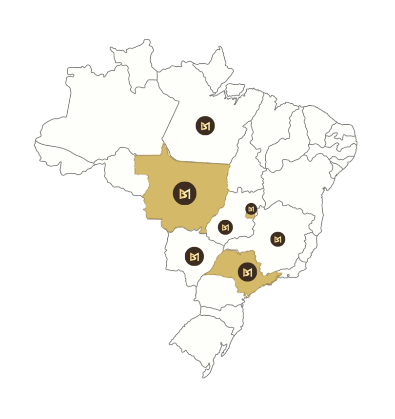 Cópia de Para TV (1200 x 403 px) (11)